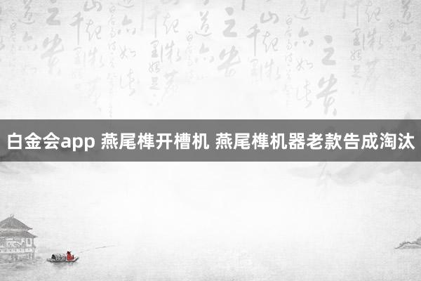 白金会app 燕尾榫开槽机 燕尾榫机器老款告成淘汰