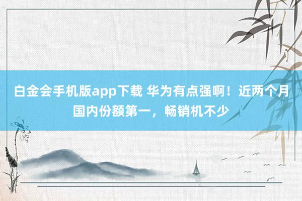 白金会手机版app下载 华为有点强啊！近两个月国内份额第一，畅销机不少