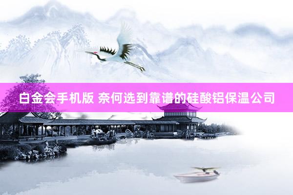 白金会手机版 奈何选到靠谱的硅酸铝保温公司