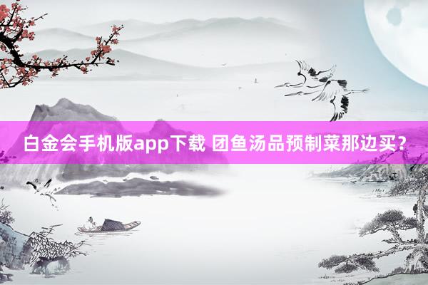 白金会手机版app下载 团鱼汤品预制菜那边买？
