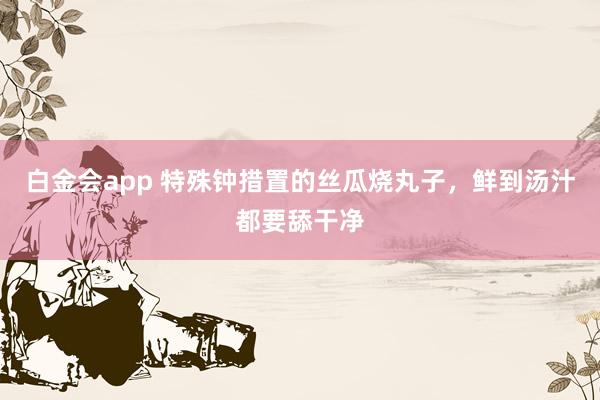 白金会app 特殊钟措置的丝瓜烧丸子，鲜到汤汁都要舔干净