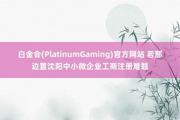 白金会(PlatinumGaming)官方网站 若那边置沈阳中小微企业工商注册难题