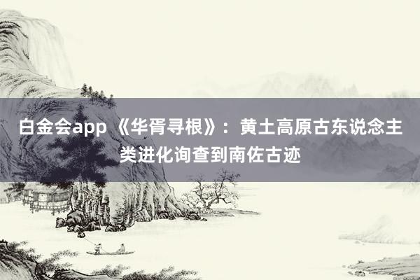 白金会app 《华胥寻根》：黄土高原古东说念主类进化询查到南佐古迹