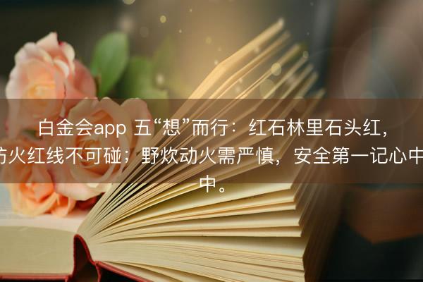 白金会app 五“想”而行：红石林里石头红，防火红线不可碰；野炊动火需严慎，安全第一记心中。