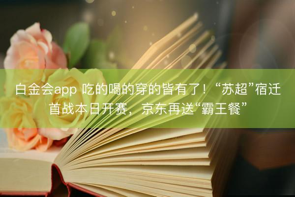 白金会app 吃的喝的穿的皆有了！“苏超”宿迁首战本日开赛，京东再送“霸王餐”